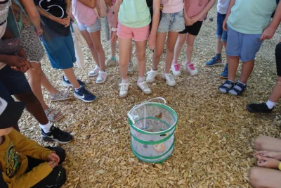 Foto des Albums: Projektwoche in der Grundschule Ellenberg