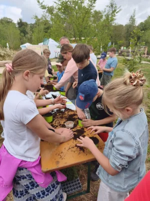 Foto des Albums: Projektwoche in der Grundschule Ellenberg