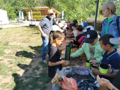 Foto des Albums: Projektwoche in der Grundschule Ellenberg