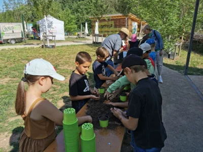 Foto des Albums: Projektwoche in der Grundschule Ellenberg