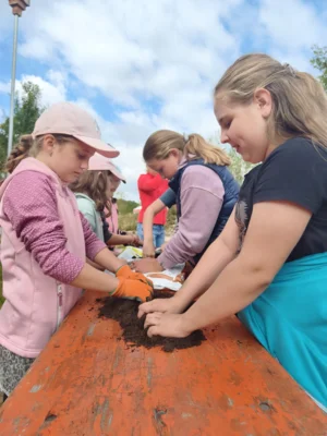 Foto des Albums: Projektwoche in der Grundschule Ellenberg