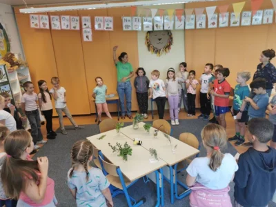 Foto des Albums: Projektwoche in der Grundschule Ellenberg