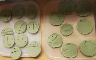 Foto des Albums: Projektwoche in der Grundschule Ellenberg