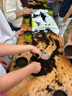 Foto des Albums: Projektwoche in der Grundschule Ellenberg