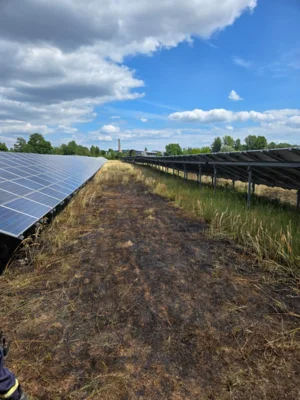 Foto des Albums: 280726 Ödland/ Wiese Solarpark Ziegelweg