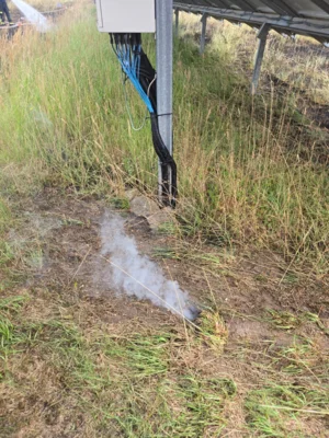 Foto des Albums: 280726 Ödland/ Wiese Solarpark Ziegelweg