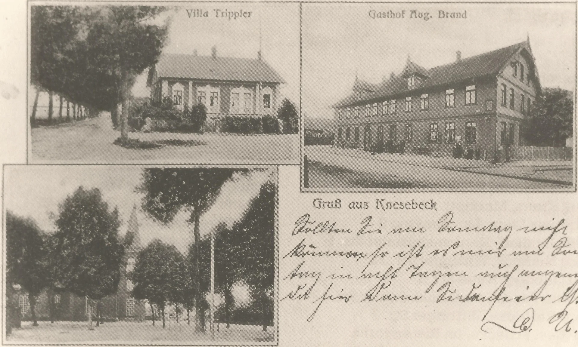 Bild der Galerie