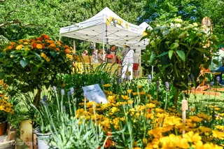 Foto des Albums: 85 Jahre Bienenzuchtverein Dreieich e.V