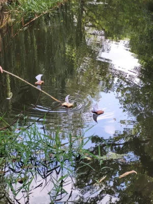 Foto des Albums: Zeltlager der Verbandsgemeinde Westliche Börde