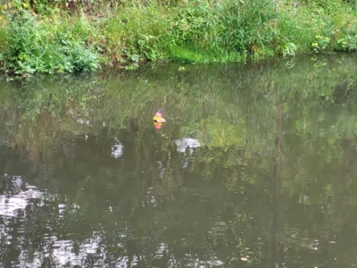 Foto des Albums: Zeltlager der Verbandsgemeinde Westliche Börde