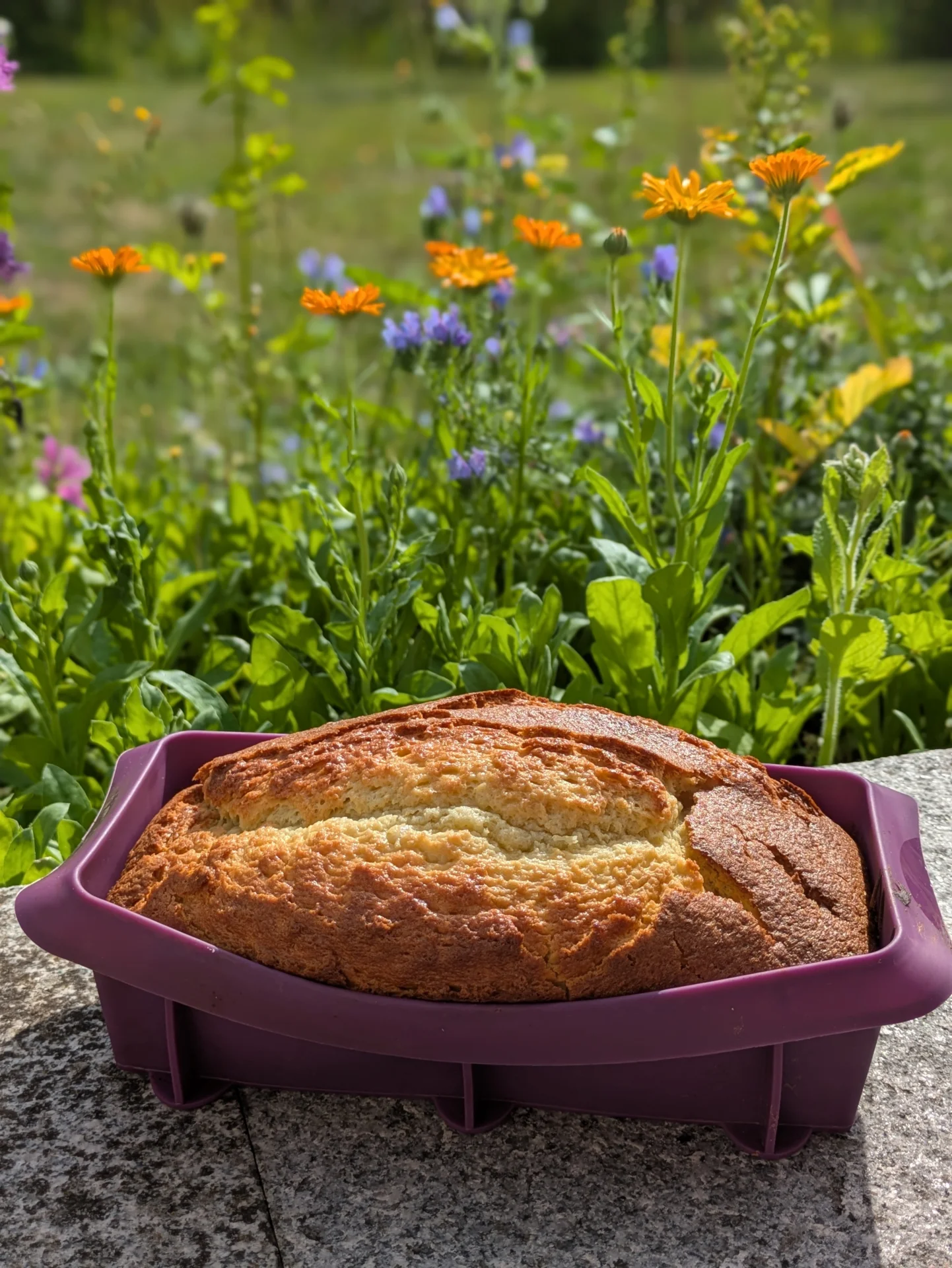 Bild: Laras Rührkuchen