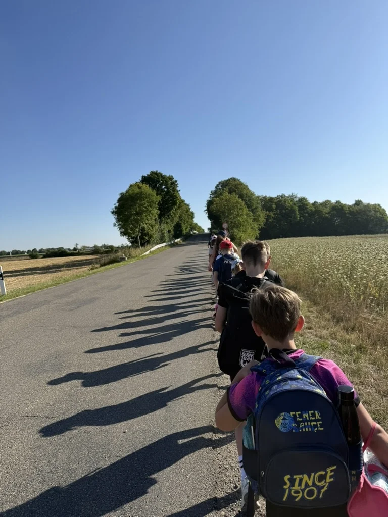 Bild: 4b