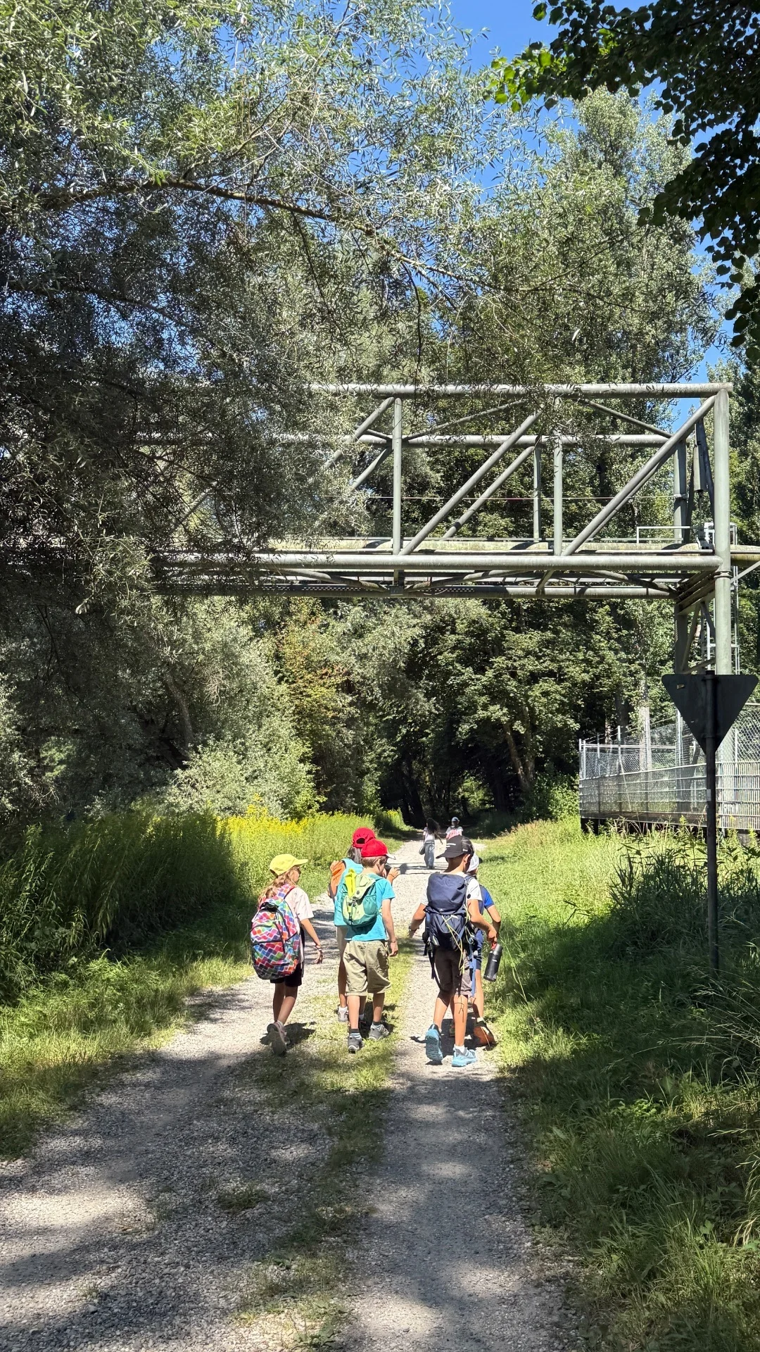Bild: 2a/b