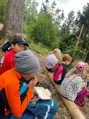 Foto des Albums: Waldklassenzimmer