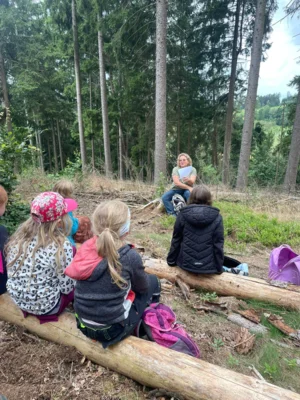 Foto des Albums: Waldklassenzimmer