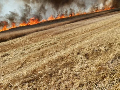Foto des Albums: Einsatz 22-26