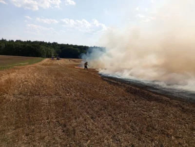 Foto des Albums: Einsatz 22-26