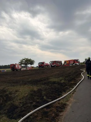 Foto des Albums: Einsatz 14/2026