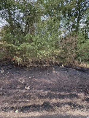 Foto des Albums: Einsatz 14/2026 (01.​08.​2026)