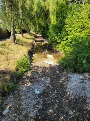 Foto des Albums: Notabfischung Gennach 2026