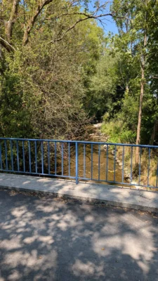 Foto des Albums: Notabfischung Gennach 2026