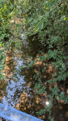 Foto des Albums: Notabfischung Gennach 2026