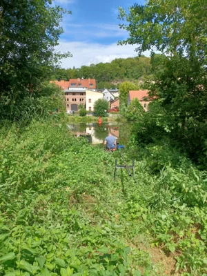 Foto des Albums: Paarangeln