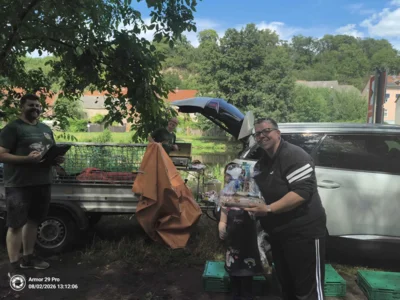 Foto des Albums: Paarangeln