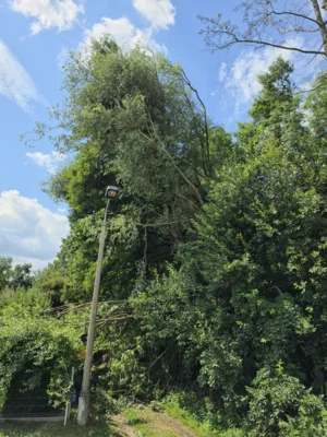 Foto des Albums: Einsatz 074/2026