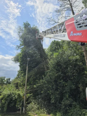 Foto des Albums: Einsatz 074/2026