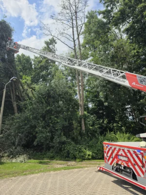 Foto des Albums: Einsatz 074/2026