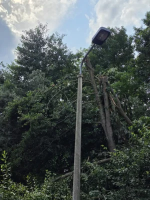 Foto des Albums: Einsatz 074/2026