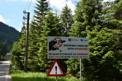 Foto des Albums: Karpaten Tour 2026