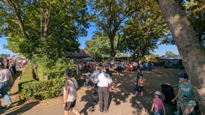Foto des Albums: Schützenfest Sonntag
