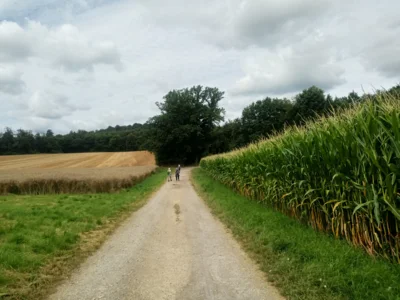 Es geht leicht bergan  (Bild vergr&ouml;&szlig;ern)