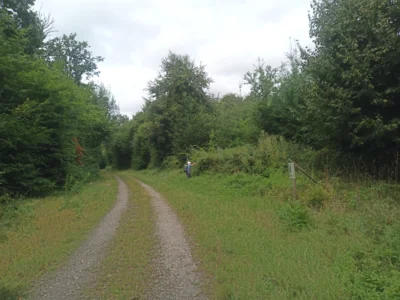 Dunkler Weg, sehr offen  (Bild vergr&ouml;&szlig;ern)