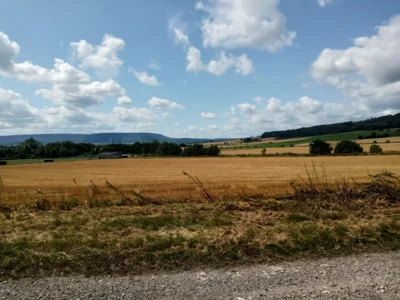 Einfach nur gute Fernsicht  (Bild vergr&ouml;&szlig;ern)