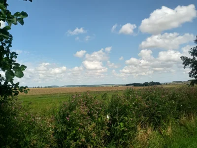Blick ins Land  (Bild vergr&ouml;&szlig;ern)