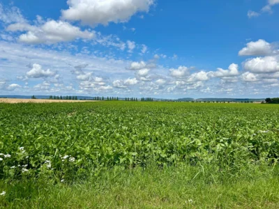 Nichts als Ferne  (Bild vergr&ouml;&szlig;ern)