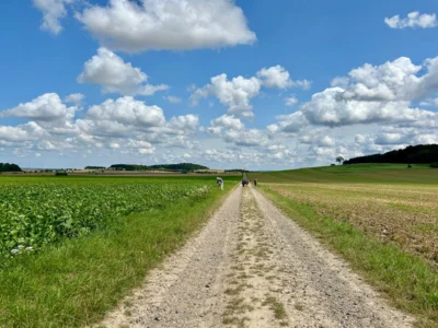 Der Weg ist unser Ziel  (Bild vergr&ouml;&szlig;ern)