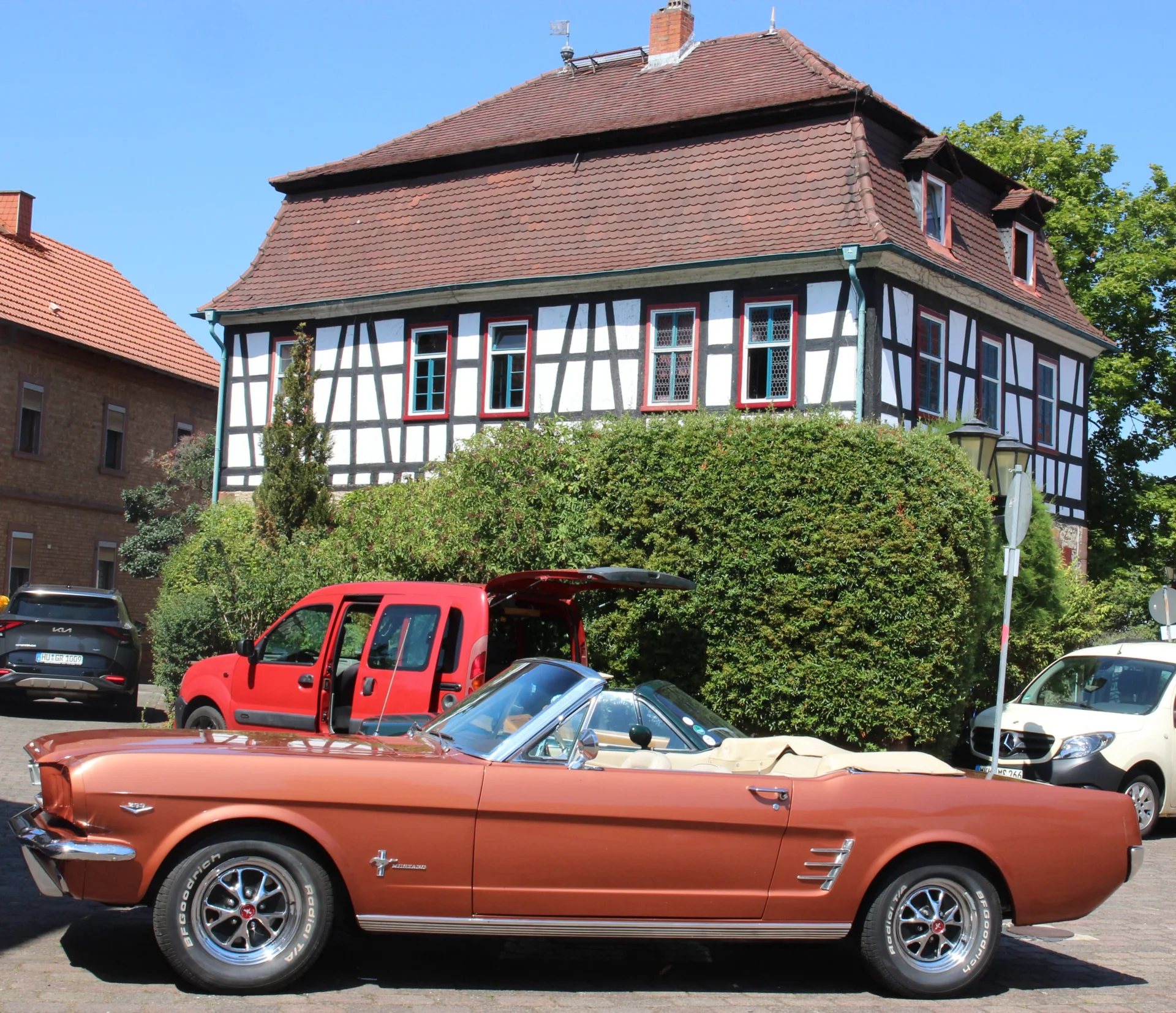 Bild der Galerie