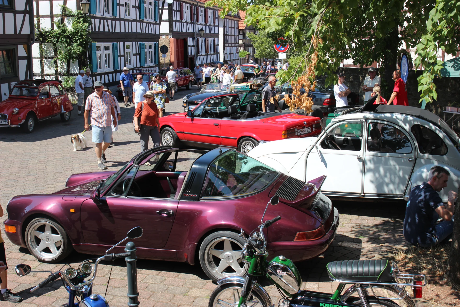 Bild der Galerie