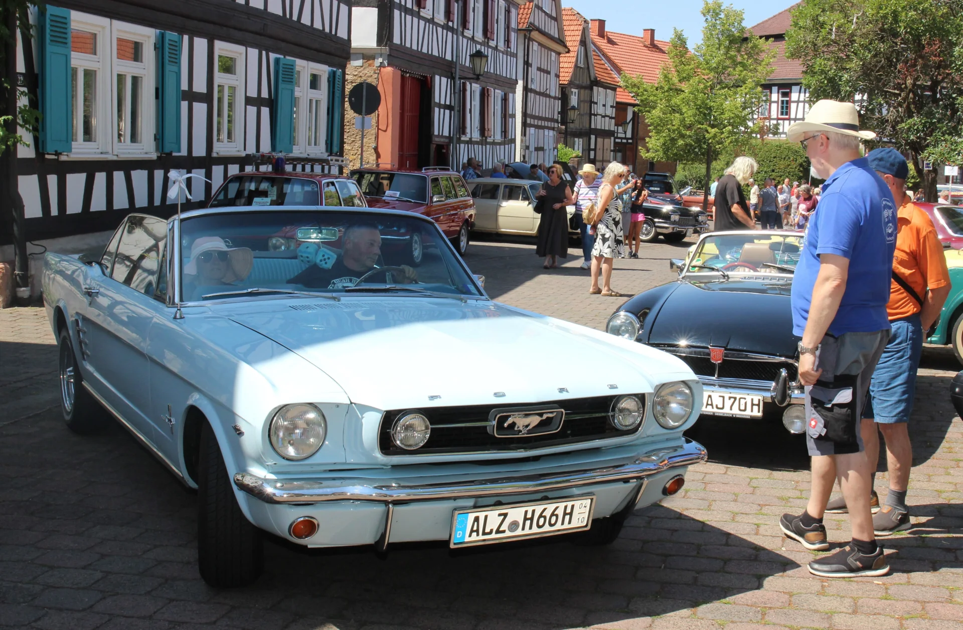Bild der Galerie