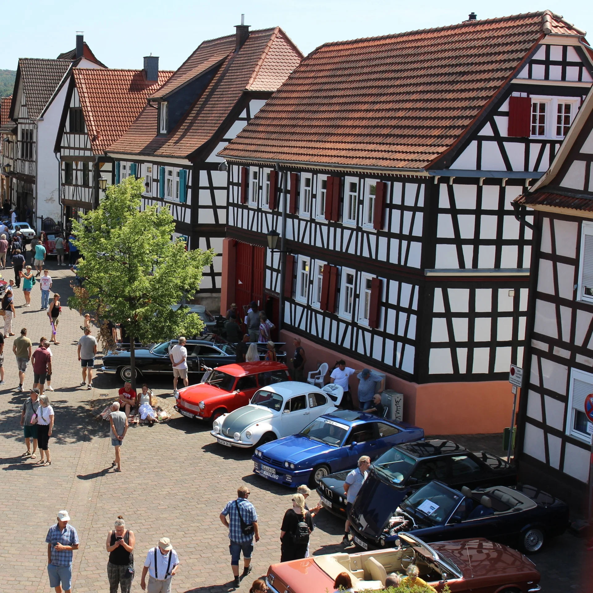 Bild der Galerie