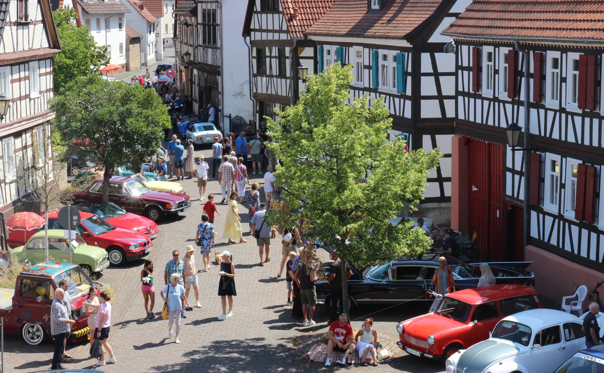 Bild der Galerie