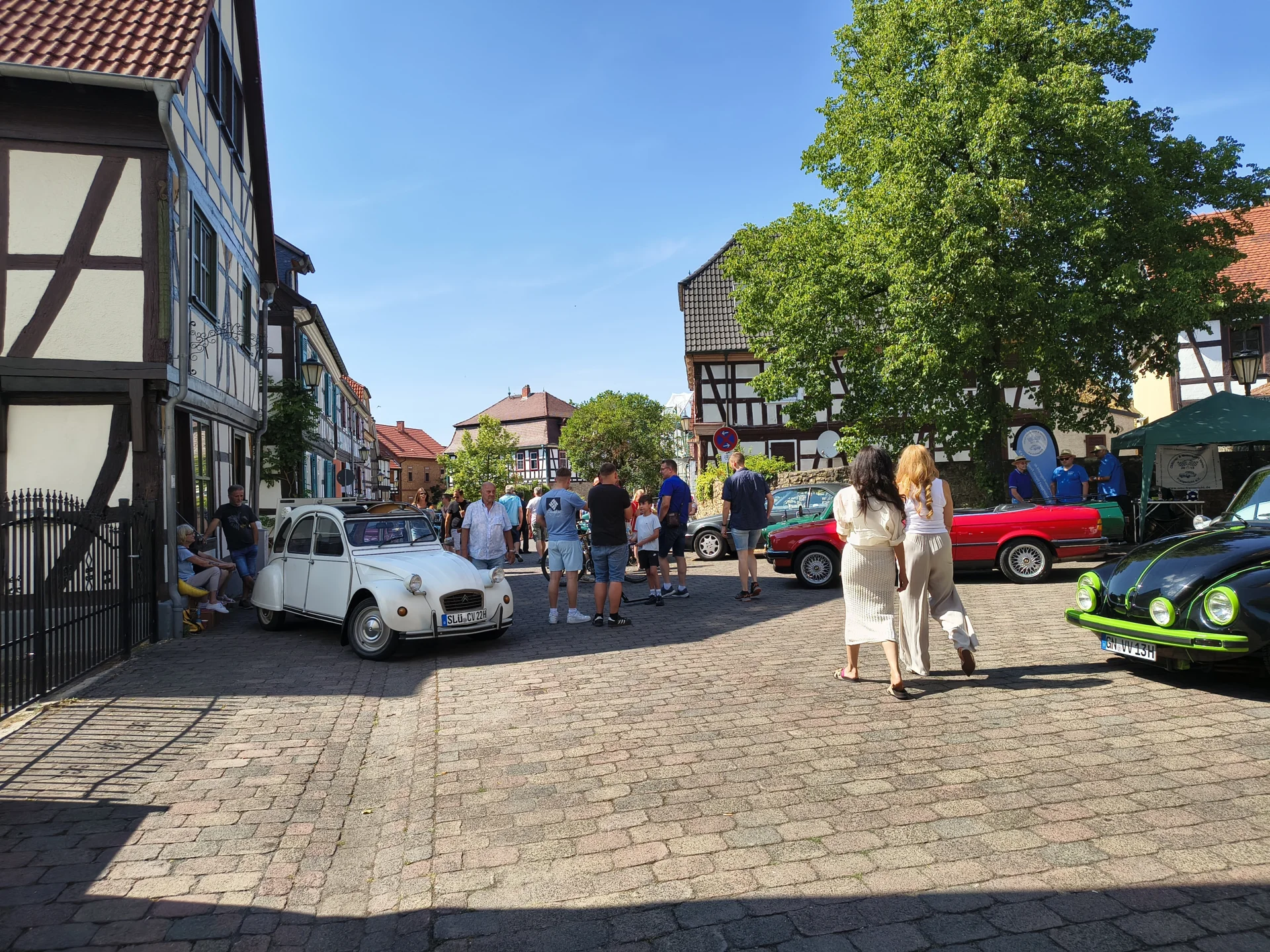 Bild der Galerie