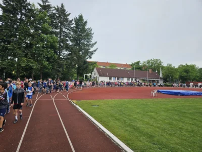 Foto des Albums: Spendenlauf für einere schönere Schule