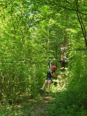 Foto des Albums: Jugendausflug in den Kletterwald