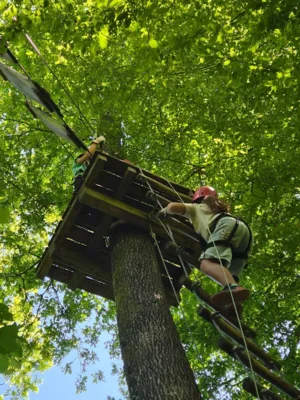 Foto des Albums: Jugendausflug in den Kletterwald