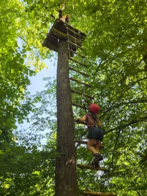 Foto des Albums: Jugendausflug in den Kletterwald